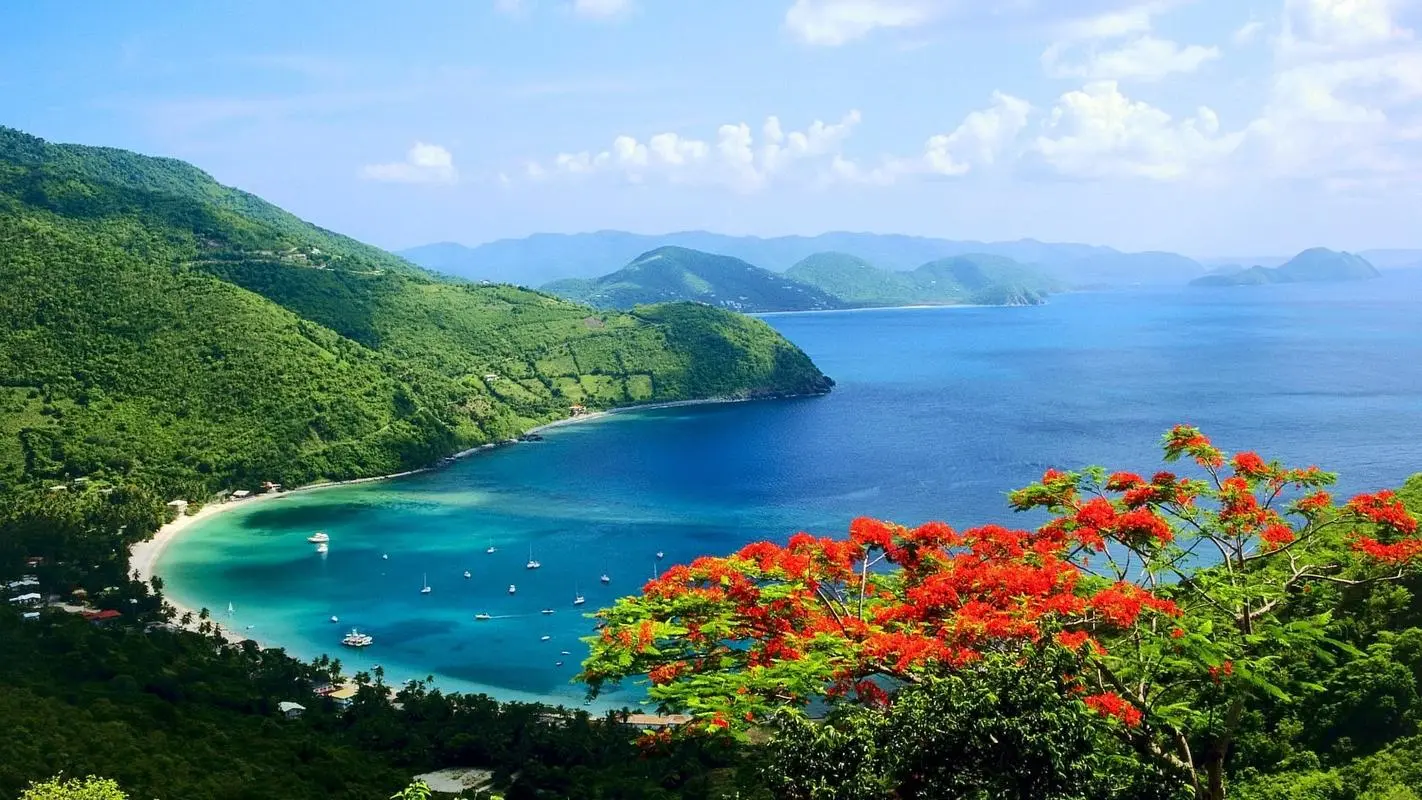 高标准智能信息化